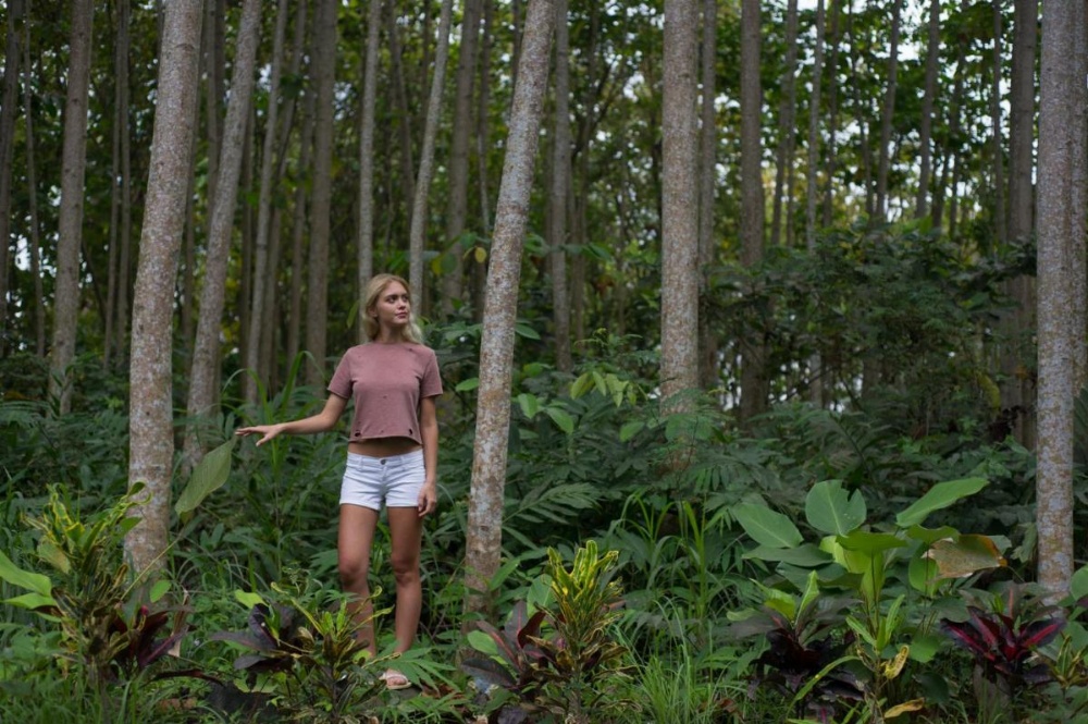 Yoga Amertham Retreat & Resort Image 39